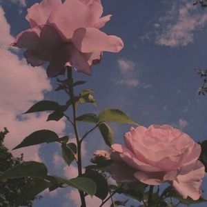 Meet your Posher, Milana